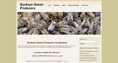 Desktop Screenshot of ohioqueens.org