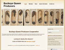 Tablet Screenshot of ohioqueens.org